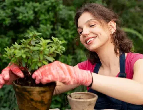 The Benefits of Gardening (and how you can get started for less than $10!)